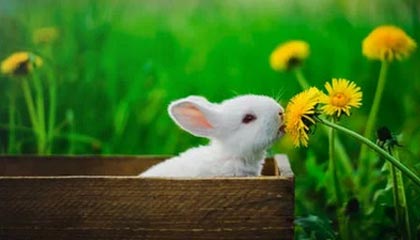 开云体育：云端之力点亮每一次运动的热情